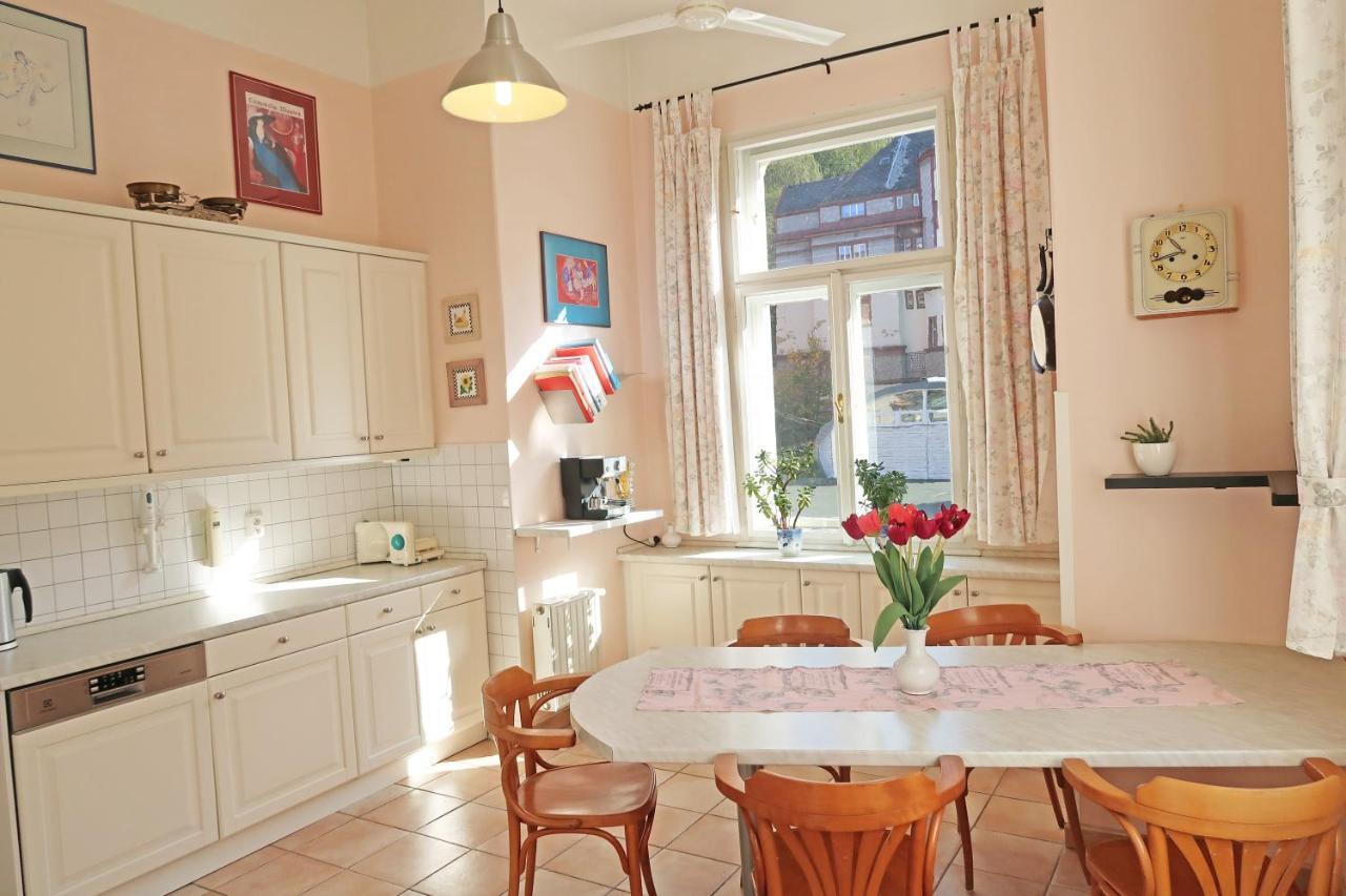 Apartment Themis Karlovy Vary Extérieur photo